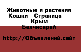 Животные и растения Кошки - Страница 3 . Крым,Бахчисарай